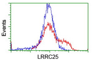 LRRC25 Antibody - HEK293T cells transfected with either overexpress plasmid (Red) or empty vector control plasmid (Blue) were immunostained by anti-LRRC25 antibody, and then analyzed by flow cytometry. At a dilution of 1:100.