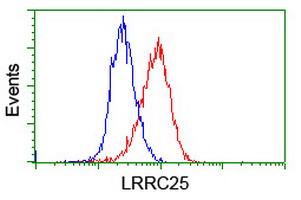 LRRC25 Antibody - Flow cytometry of HeLa cells, using anti-LRRC25 antibody (Red), compared to a nonspecific negative control antibody (Blue). At a dilution of 1:100.