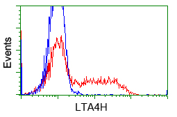 LTA4H / LTA4 Antibody - HEK293T cells transfected with either pCMV6-ENTRY LTA4H (Red) or empty vector control plasmid (Blue) were immunostained with anti-LTA4H mouse monoclonal, and then analyzed by flow cytometry.