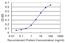 MAG Antibody - Detection limit for recombinant GST tagged MAG is 0.1 ng/ml as a capture antibody.