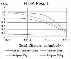 MBP Antibody - Red: Control Antigen (100ng); Purple: Antigen (10ng); Green: Antigen (50ng); Blue: Antigen (100ng);