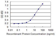 MDH / MDH2 Antibody - Detection limit for recombinant GST tagged MDH2 is 0.3 ng/ml as a capture antibody.