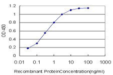 MDM2 Antibody - Detection limit for recombinant GST tagged MDM2 is approximately 0.03 ng/ml as a capture antibody.