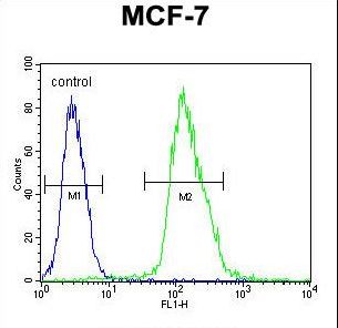 MFAP4 Antibody - MFAP4 Antibody flow cytometry of MCF-7 cells (right histogram) compared to a negative control cell (left histogram). FITC-conjugated goat-anti-rabbit secondary antibodies were used for the analysis.