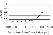 MKNK1 / MNK1 Antibody - Detection limit for recombinant GST tagged MKNK1 is approximately 3 ng/ml as a capture antibody.