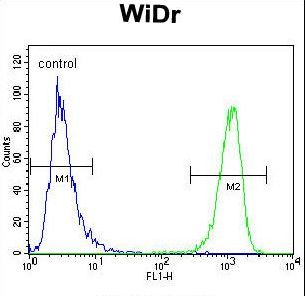 MUC20 Antibody - MUC20 Antibody flow cytometry of WiDr cells (right histogram) compared to a negative control cell (left histogram). FITC-conjugated goat-anti-rabbit secondary antibodies were used for the analysis.