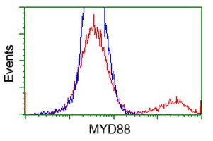 MYD88 Antibody - HEK293T cells transfected with either overexpress plasmid (Red) or empty vector control plasmid (Blue) were immunostained by anti-MYD88 antibody, and then analyzed by flow cytometry.