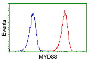 MYD88 Antibody - Flow cytometry of Jurkat cells, using anti-MYD88 antibody (Red), compared to a nonspecific negative control antibody (Blue).
