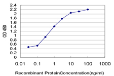 MYH9 Antibody - Detection limit for recombinant GST tagged MYH9 is approximately 0.03 ng/ml as a capture antibody.