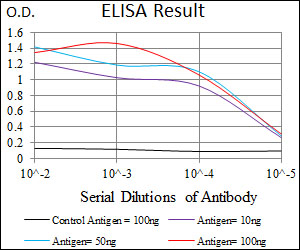 NELFA / WHSC2 Antibody - Black: Control Antigen (100ng); Purple: Antigen (10ng); Blue: Antigen (50ng); Red: Antigen (100ng);