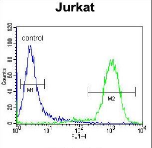 NETO2 Antibody - NETO2 Antibody (N-term ) flow cytometry of Jurkat cells (right histogram) compared to a negative control cell (left histogram). FITC-conjugated donkey-anti-rabbit secondary antibodies were used for the analysis.