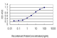 NEUROD1 Antibody - Detection limit for recombinant GST tagged NEUROD1 is approximately 0.3 ng/ml as a capture antibody.