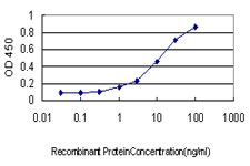 Neuroserpin Antibody - Detection limit for recombinant GST tagged SERPINI1 is approximately 0.3 ng/ml as a capture antibody.