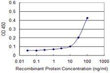 NFAT4 / NFATC3 Antibody - Detection limit for recombinant GST tagged NFATC3 is approximately 10 ng/ml as a capture antibody.