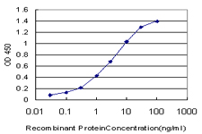 NME1 / NM23 Antibody - Detection limit for recombinant GST tagged NME1 is approximately 0.1 ng/ml as a capture antibody.