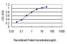 NMI Antibody - Detection limit for recombinant GST tagged NMI is approximately 0.03 ng/ml as a capture antibody.