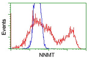 NNMT Antibody - HEK293T cells transfected with either overexpress plasmid (Red) or empty vector control plasmid (Blue) were immunostained by anti-NNMT antibody, and then analyzed by flow cytometry.