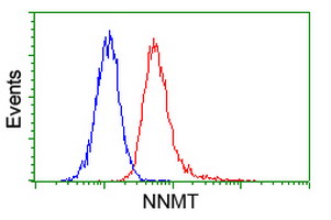 NNMT Antibody - Flow cytometry of Jurkat cells, using anti-NNMT antibody (Red), compared to a nonspecific negative control antibody (Blue).