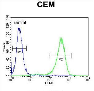 NOS2 / iNOS Antibody - NOS2A Antibody flow cytometry of CEM cells (right histogram) compared to a negative control cell (left histogram). FITC-conjugated goat-anti-rabbit secondary antibodies were used for the analysis.