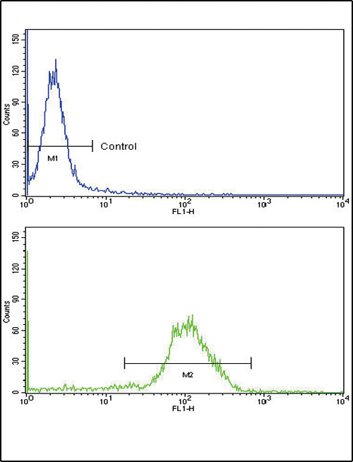 NPPA / ANP Antibody - Flow cytometric of MDA-231 cells using NPPA Antibody (bottom histogram) compared to a negative control cell (top histogram). FITC-conjugated goat-anti-rabbit secondary antibodies were used for the analysis.