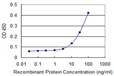 NPRB / NPR2 Antibody - Detection limit for recombinant GST tagged NPR2 is 3 ng/ml as a capture antibody.