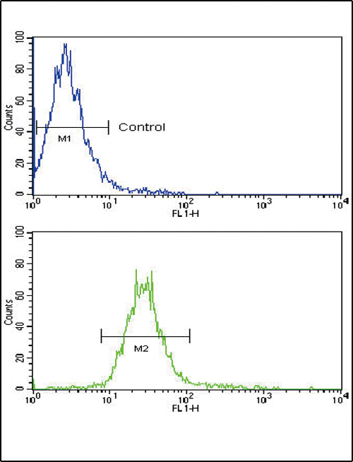 NRG1 / Heregulin / Neuregulin Antibody - Flow cytometric of NCI-H460 cells using NRG1 Antibody (bottom histogram) compared to a negative control cell (top histogram). FITC-conjugated goat-anti-rabbit secondary antibodies were used for the analysis.