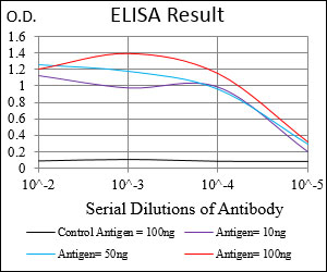 NT5E / eNT / CD73 Antibody - Red: Control Antigen (100ng); Purple: Antigen (10ng); Green: Antigen (50ng); Blue: Antigen (100ng);