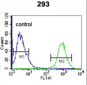 Osteoglycin / Mimecan Antibody - OGN Antibody flow cytometry of 293 cells (right histogram) compared to a negative control cell (left histogram). FITC-conjugated goat-anti-rabbit secondary antibodies were used for the analysis.
