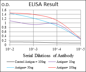 PAI-RBP1 / SERBP1 Antibody - Red: Control Antigen (100ng); Purple: Antigen (10ng); Green: Antigen (50ng); Blue: Antigen (100ng);