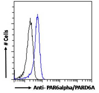 PARD6A / PAR6 Antibody - PARD6A / PAR6 antibody flow cytometric analysis of paraformaldehyde fixed Jurkat cells (blue line), permeabilized with 0.5% Triton. Primary incubation 1hr (10ug/ml) followed by Alexa Fluor 488 secondary antibody (1ug/ml). IgG control: Unimmunized goat IgG (black line) followed by Alexa Fluor 488 secondary antibody.