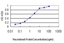 PAX5 Antibody - Detection limit for recombinant GST tagged PAX5 is approximately 0.03 ng/ml as a capture antibody.