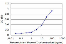 PBX3 Antibody - Detection limit for recombinant GST tagged PBX3 is approximately 1 ng/ml as a capture antibody.