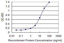 PCF11 Antibody - Detection limit for recombinant GST tagged PCF11 is 0.3 ng/ml as a capture antibody.