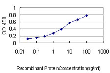 PCNA Antibody - Detection limit for recombinant GST tagged PCNA is approximately 0.1 ng/ml as a capture antibody.