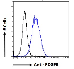 PDGF-BB Antibody - Goat Anti-PDGFB Antibody Flow cytometric analysis of paraformaldehyde fixed HeLa cells (blue line), permeabilized with 0.5% Triton. Primary incubation 1hr (10ug/ml) followed by Alexa Fluor 488 secondary antibody (1ug/ml). IgG control: Unimmunized goat IgG (black line) followed by Alexa Fluor 488 secondary antibody.