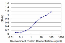 PDK2 Antibody - Detection limit for recombinant GST tagged PDK2 is approximately 0.3 ng/ml as a capture antibody.