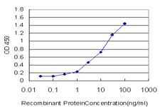 PDZK1 Antibody - Detection limit for recombinant GST tagged PDZK1 is approximately 0.03 ng/ml as a capture antibody.