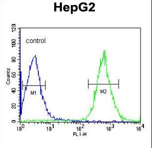 PFTK1 / CDK14 Antibody - PFTK1 Antibody (N-term P82) flow cytometry of HepG2 cells (right histogram) compared to a negative control cell (left histogram). FITC-conjugated goat-anti-rabbit secondary antibodies were used for the analysis.