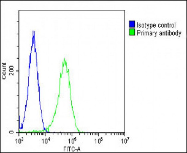 PGAP1 Antibody - Overlay histogram showing Hela cells stained with PGAP1 Antibody (N-Term) (green line). The cells were fixed with 2% paraformaldehyde (10 min) and then permeabilized with 90% methanol for 10 min. The cells were then icubated in 2% bovine serum albumin to block non-specific protein-protein interactions followed by the antibody (PGAP1 Antibody (N-Term), 1:25 dilution) for 60 min at 37°C. The secondary antibody used was Goat-Anti-Rabbit IgG, DyLight®488 Conjugated Highly Cross-Adsorbed at 1/200 dilution for 40 min at 37°C. Isotype control antibody (blue line) was rabbit IgG1 (1µg/1x10^6 cells) used under the same conditions. Acquisition of >10, 000 events was performed.