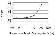 PIGR Antibody - Detection limit for recombinant GST tagged PIGR is 1 ng/ml as a capture antibody.