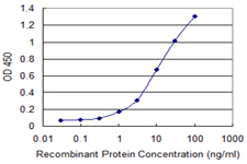PIK3C2A Antibody - Detection limit for recombinant GST tagged PIK3C2A is 0.3 ng/ml as a capture antibody.