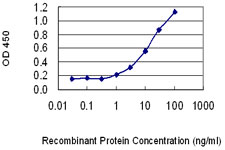 PKIB Antibody - Detection limit for recombinant GST tagged PKIB is 0.3 ng/ml as a capture antibody.