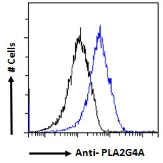 PLA2G4A Antibody - PLA2G4A antibody flow cytometric analysis of paraformaldehyde fixed A549 cells (blue line), permeabilized with 0.5% Triton. Primary incubation 1hr (10ug/ml) followed by Alexa Fluor 488 secondary antibody (1ug/ml). IgG control: Unimmunized goat IgG (black line) followed by Alexa Fluor 488 secondary antibody.