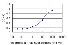 PLEK / Pleckstrin Antibody - Detection limit for recombinant GST tagged PLEK is approximately 0.3 ng/ml as a capture antibody.