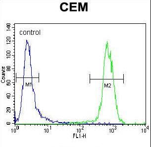 PON1 / ESA Antibody - PON1 Antibody flow cytometry of CEM cells (right histogram) compared to a negative control cell (left histogram). FITC-conjugated goat-anti-rabbit secondary antibodies were used for the analysis.