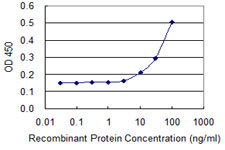 PPM1A / PP2CA Antibody - Detection limit for recombinant GST tagged PPM1A is 3 ng/ml as a capture antibody.
