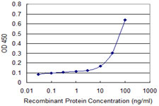 PRKRA / PACT Antibody - Detection limit for recombinant GST tagged PRKRA is approximately 0.03 ng/ml as a capture antibody.