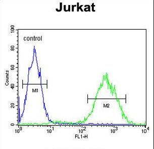 PRUNE Antibody - PRUNE Antibody flow cytometry of Jurkat cells (right histogram) compared to a negative control cell (left histogram). FITC-conjugated goat-anti-rabbit secondary antibodies were used for the analysis.