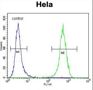 PS20 / WFDC1 Antibody - WFDC1 Antibody (C-term H163) flow cytometry of HeLa cells (right histogram) compared to a negative control cell (left histogram). FITC-conjugated goat-anti-rabbit secondary antibodies were used for the analysis.