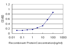 PSMA7 Antibody - Detection limit for recombinant GST tagged PSMA7 is approximately 1 ng/ml as a capture antibody.